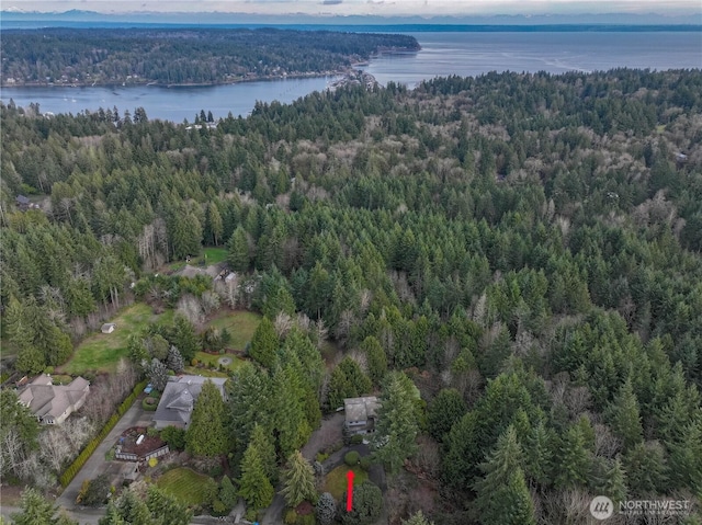 20695 Mainland View Ln NE, Suquamish, WA 98392 - photo 34