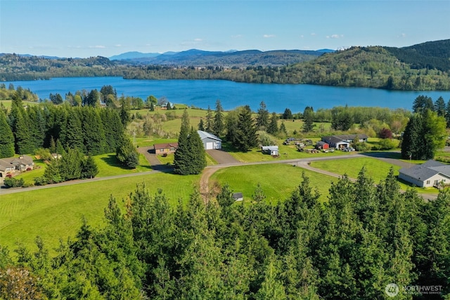 147 Zola Dr E, Cinebar, WA 98533 - photo 38