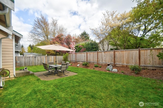 view of yard with a patio area and a fenced backyard