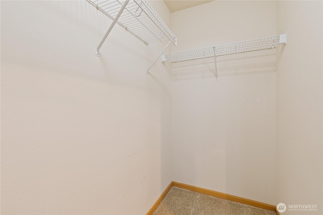 4254 Roxanna Loop SE, Lacey, WA 98503 - spacious closet with carpet floors