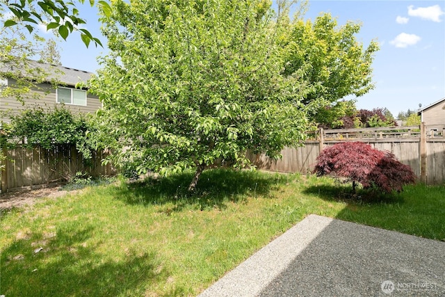 4254 Roxanna Loop SE, Lacey, WA 98503 - view of yard