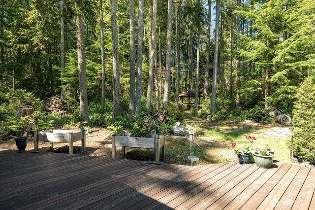 1059 Evergreen Ln, Freeland, WA 98249 - photo 29