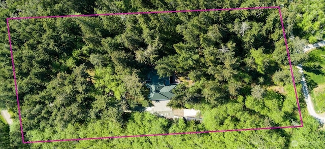 1059 Evergreen Ln, Freeland, WA 98249 - photo 35