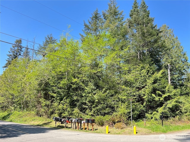 1NKA N Bayview Dr, Port Ludlow, WA 98365