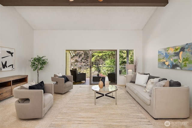living area featuring lofted ceiling