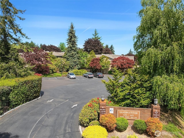 view of asphalt street
