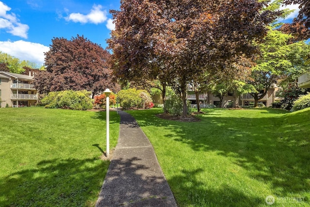 view of property's community with a lawn