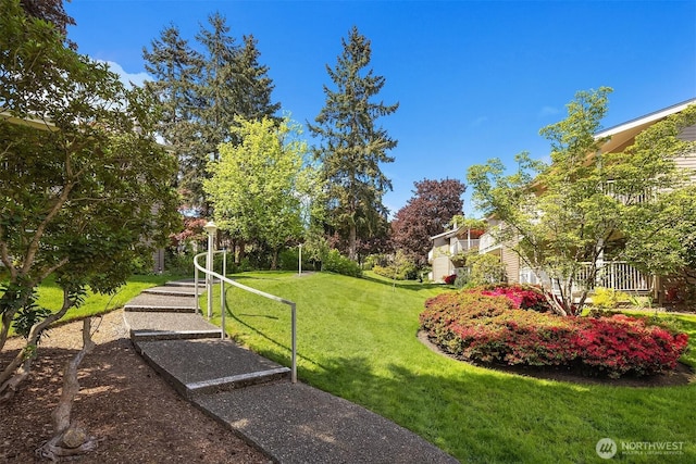 view of community featuring a yard