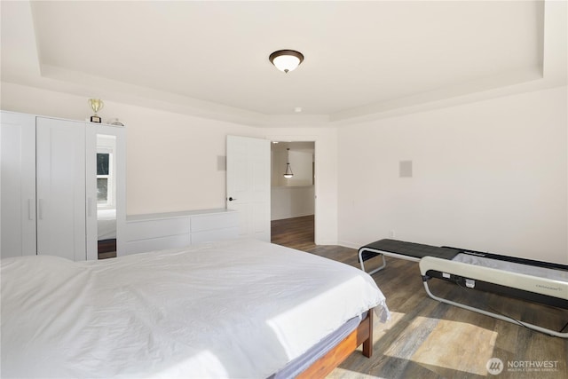 bedroom featuring wood finished floors and a raised ceiling