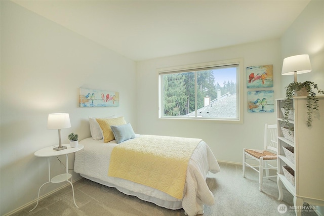 bedroom with carpet floors and baseboards