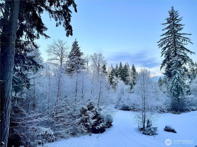 20930 114th Ave SE, Snohomish, WA 98296 - view of snow covered land with a view of trees
