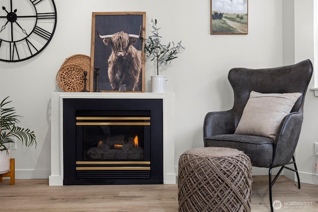 living area featuring a glass covered fireplace, baseboards, and wood finished floors