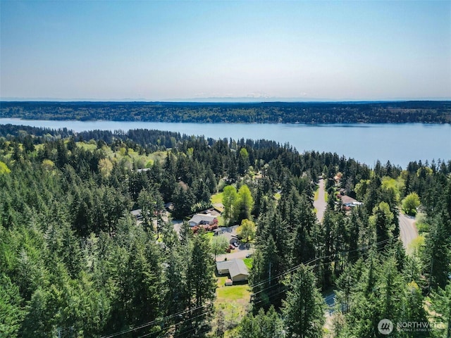 bird's eye view with a water view and a wooded view