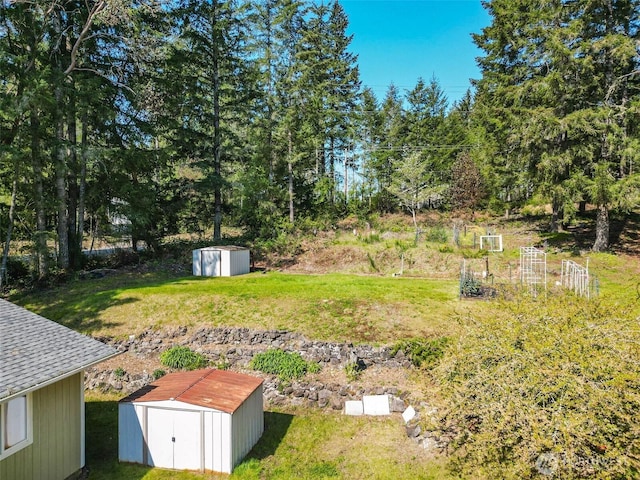 view of yard with a shed and an outbuilding