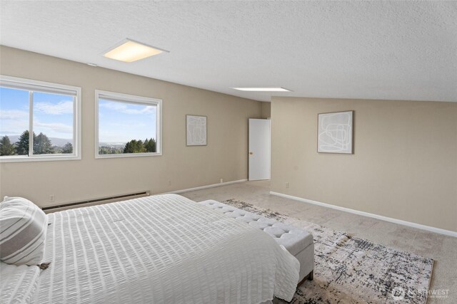 3837 Columbia Heights Rd, Longview, WA 98632 - bedroom with a textured ceiling, baseboards, a baseboard heating unit, and carpet