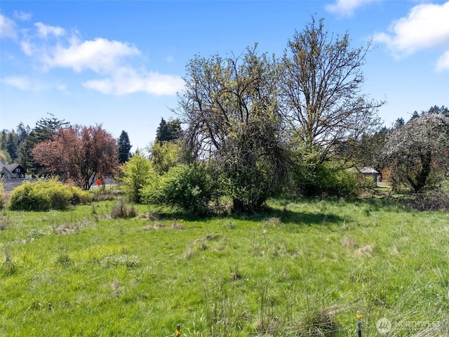 0 SW Alder St, Winlock, WA 98596