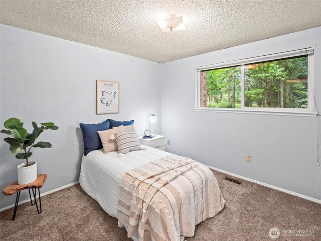 12916 97th Ave NW, Gig Harbor, WA 98329 - carpeted bedroom featuring baseboards, a textured ceiling, and visible vents