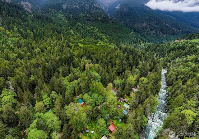 64197 E Cascade Dr, Marblemount, WA 98267 - birds eye view of property featuring a view of trees and a mountain view