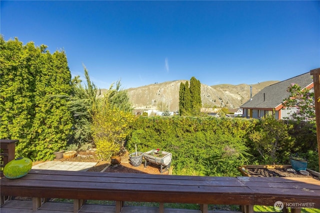 view of yard with a mountain view