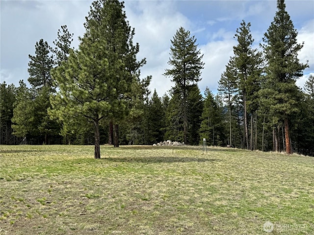 view of yard featuring a forest view