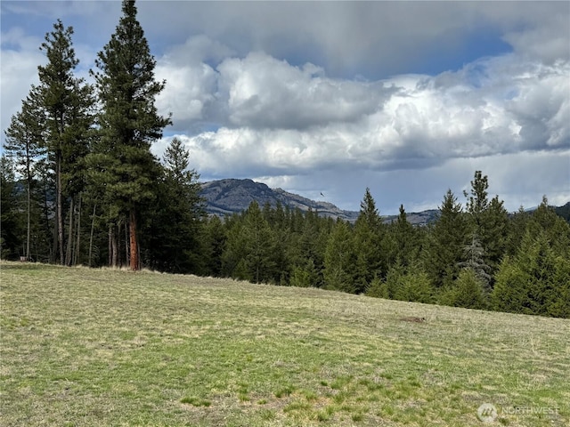 property view of mountains with a forest view