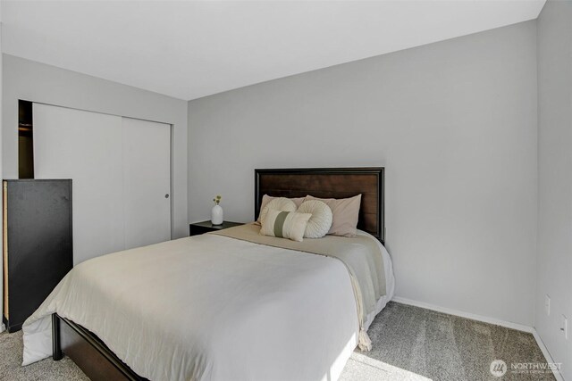 bedroom with baseboards, a closet, and carpet flooring