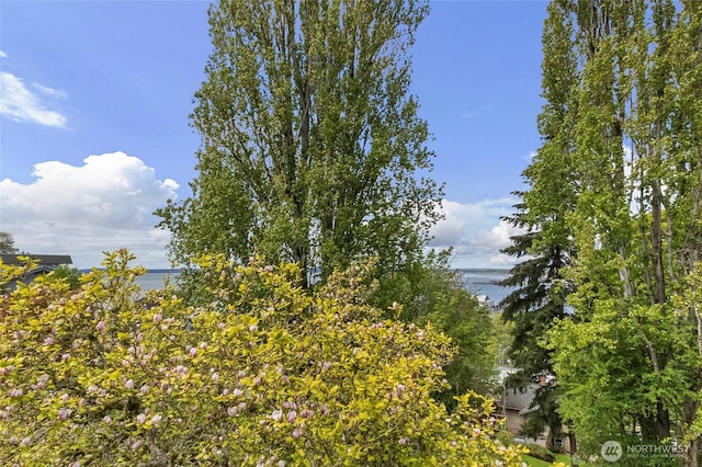 view of landscape