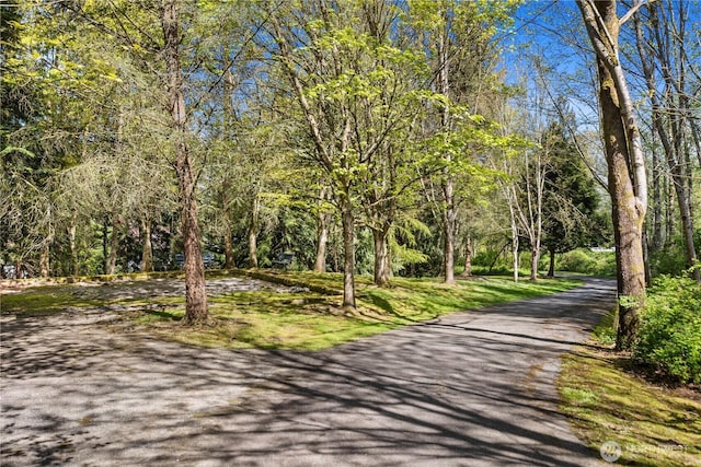 view of property's community featuring driveway and a forest view