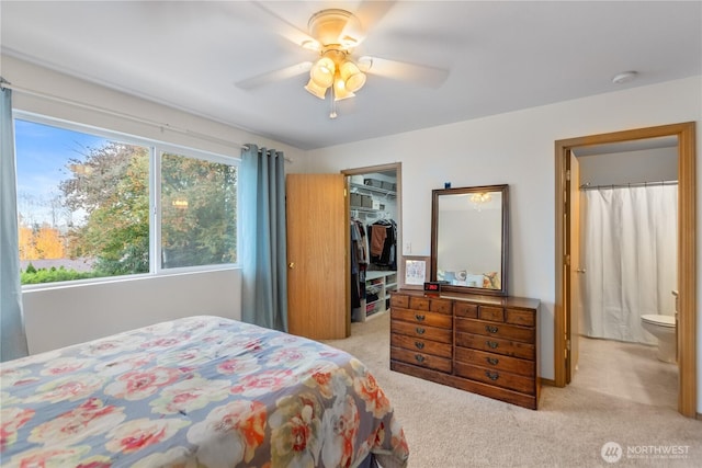 bedroom with a walk in closet, ceiling fan, light carpet, and a closet