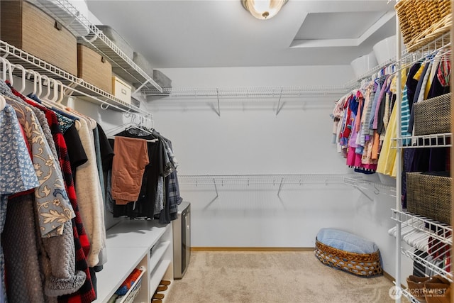 spacious closet with carpet flooring