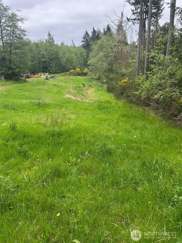 1909 Lake Dr SW, Lakebay, WA 98349 - photo 9