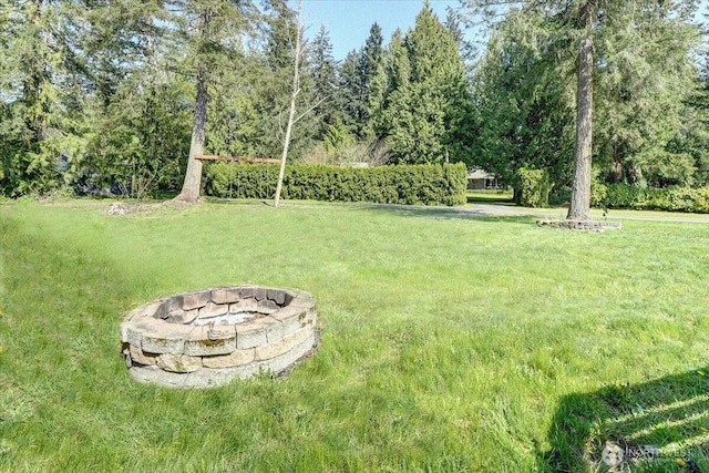 19802 118th Avenue Ct E, Graham, WA 98338 - view of grassy yard featuring an outdoor fire pit