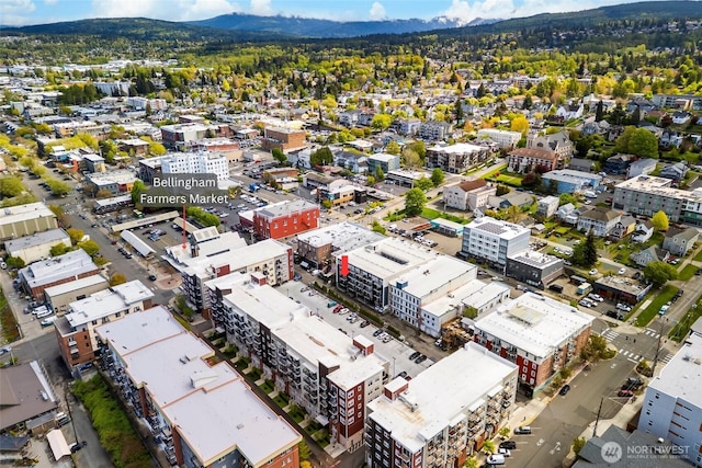 drone / aerial view