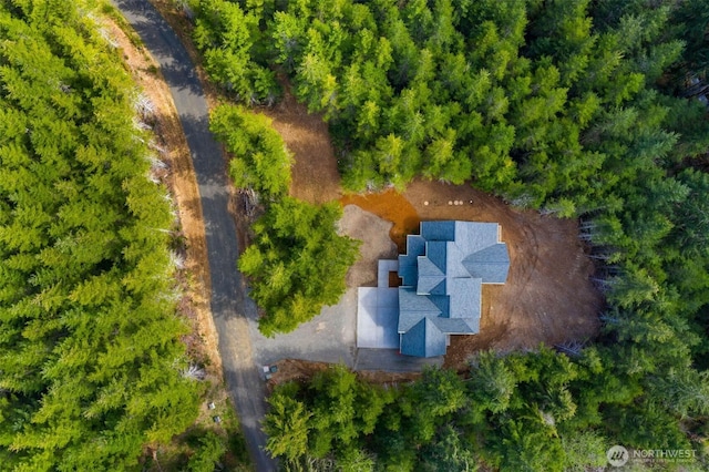 bird's eye view