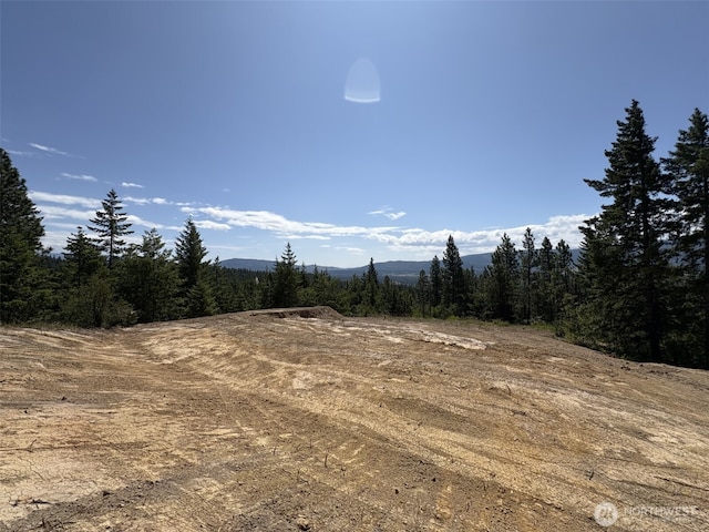 11 Forest Ridge Dr, Cle Elum, WA 98922 - photo 2