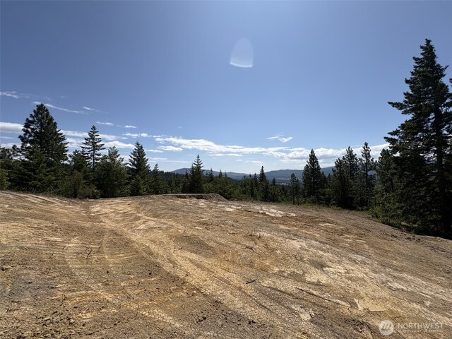 11 Forest Ridge Dr, Cle Elum, WA 98922 - photo 3