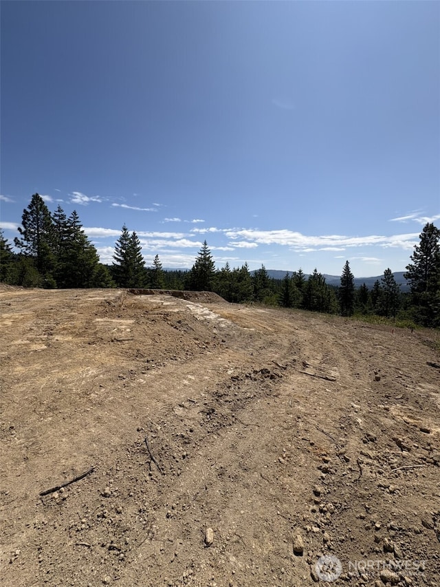 11 Forest Ridge Dr, Cle Elum, WA 98922 - photo 4