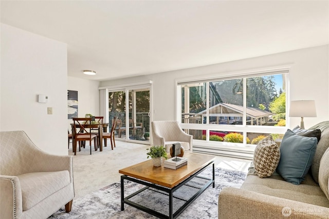 view of carpeted living area