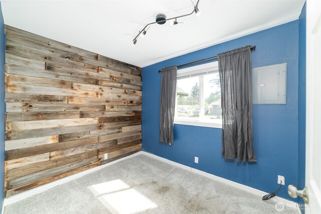 carpeted spare room with wooden walls, rail lighting, and baseboards