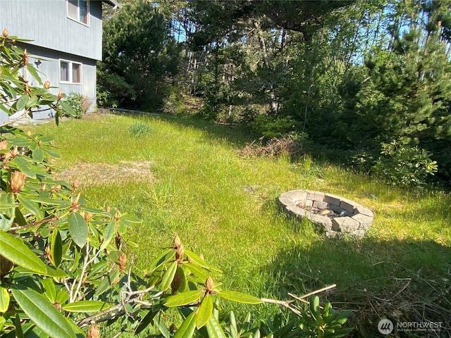29008 K Ln, Ocean Park, WA 98640 - view of yard with a fire pit