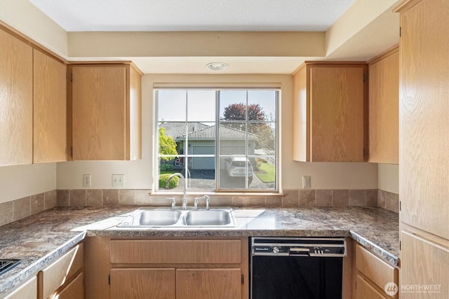 kitchen with dishwasher and a sink