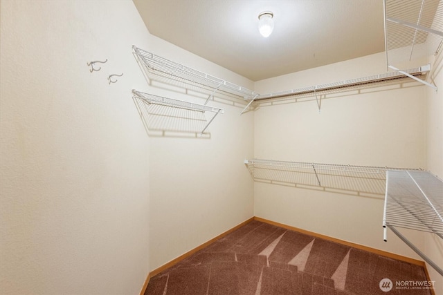 walk in closet featuring carpet