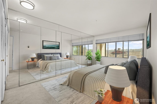 view of carpeted bedroom