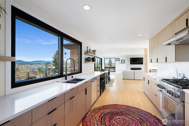 kitchen featuring a sink, light wood-style floors, stainless steel appliances, light countertops, and open floor plan
