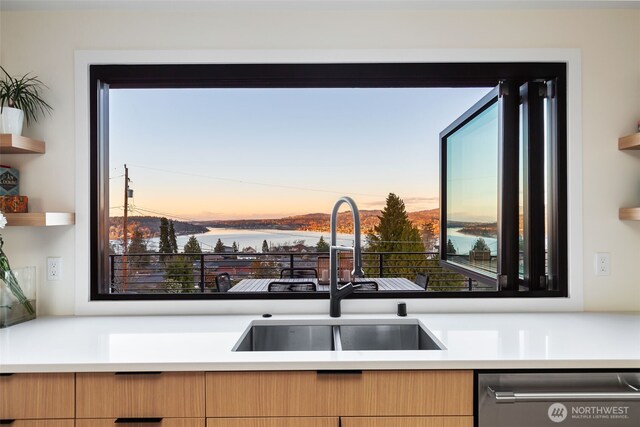kitchen featuring light countertops, modern cabinets, stainless steel dishwasher, and a sink