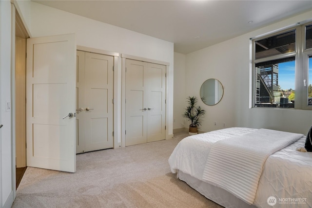 carpeted bedroom with two closets