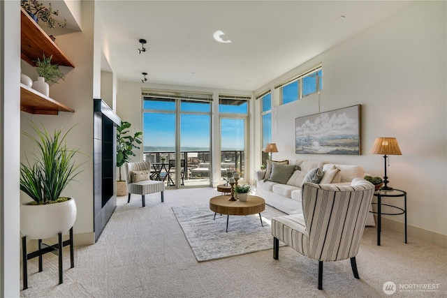 carpeted living room with baseboards and a wall of windows