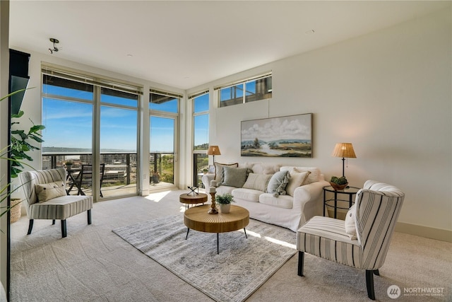 living room with a healthy amount of sunlight, carpet flooring, and expansive windows