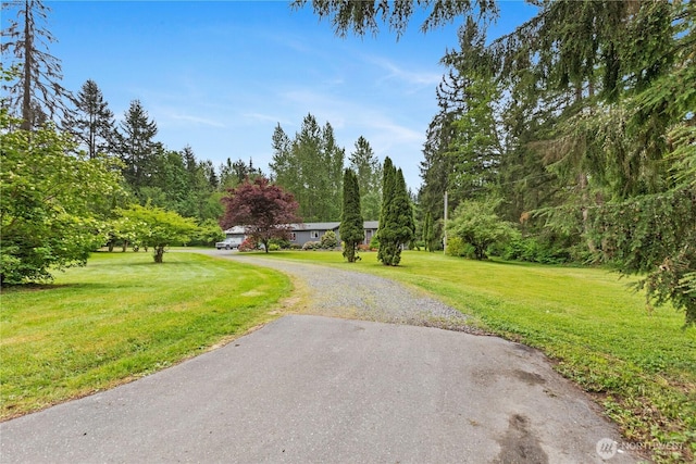 view of dirt / gravel road