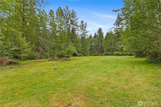 view of grassy yard featuring a view of trees